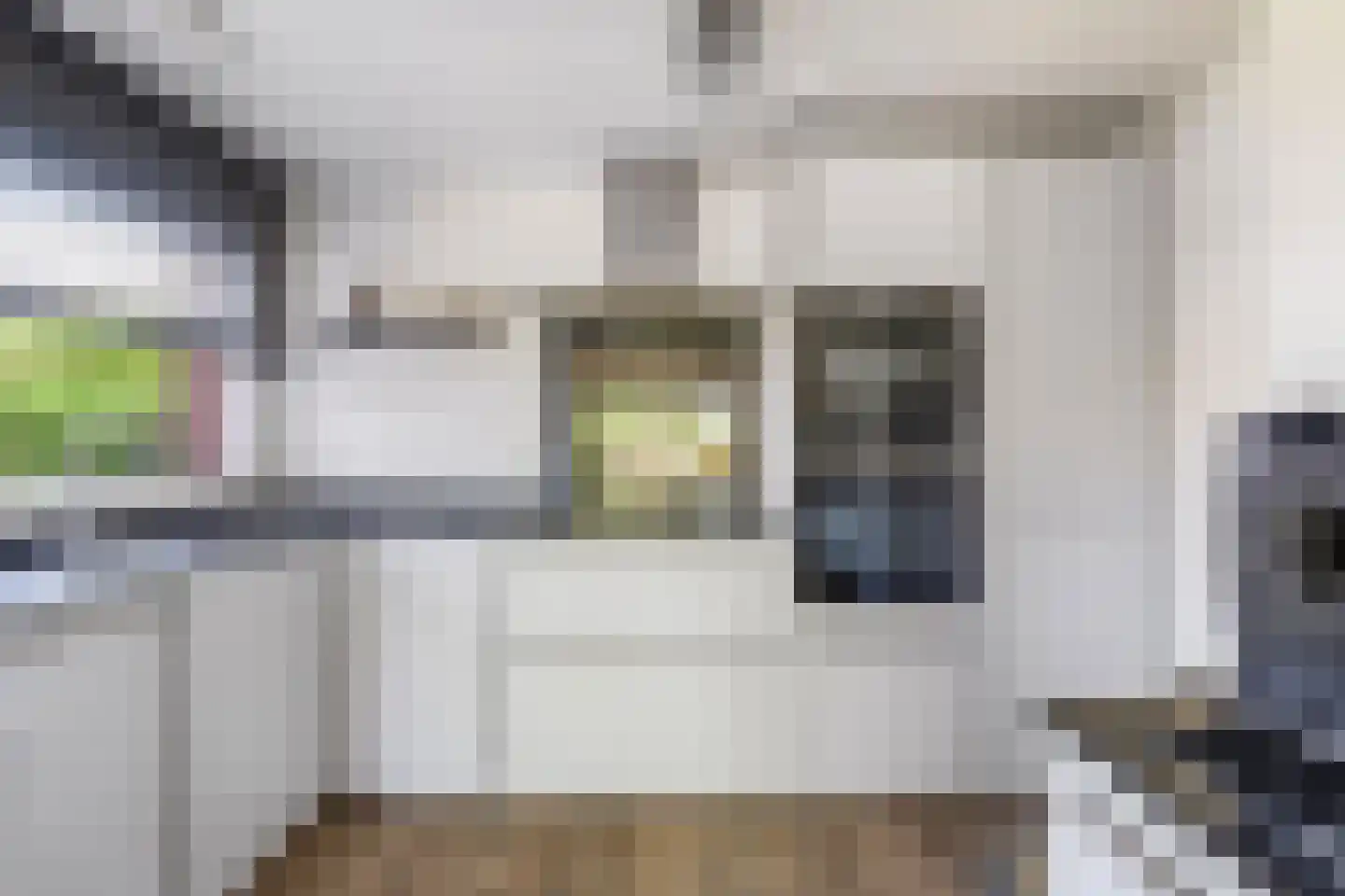 Papegroet 6 Zuid-Scharwoude thumbnail 10