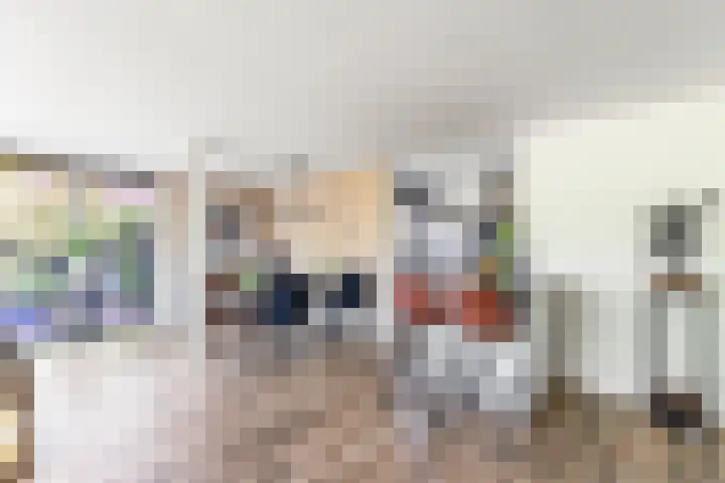 Papegroet 6 Zuid-Scharwoude thumbnail 13