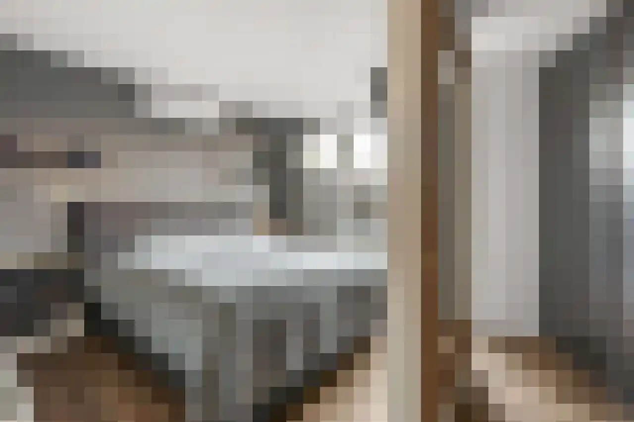 Papegroet 6 Zuid-Scharwoude thumbnail 15