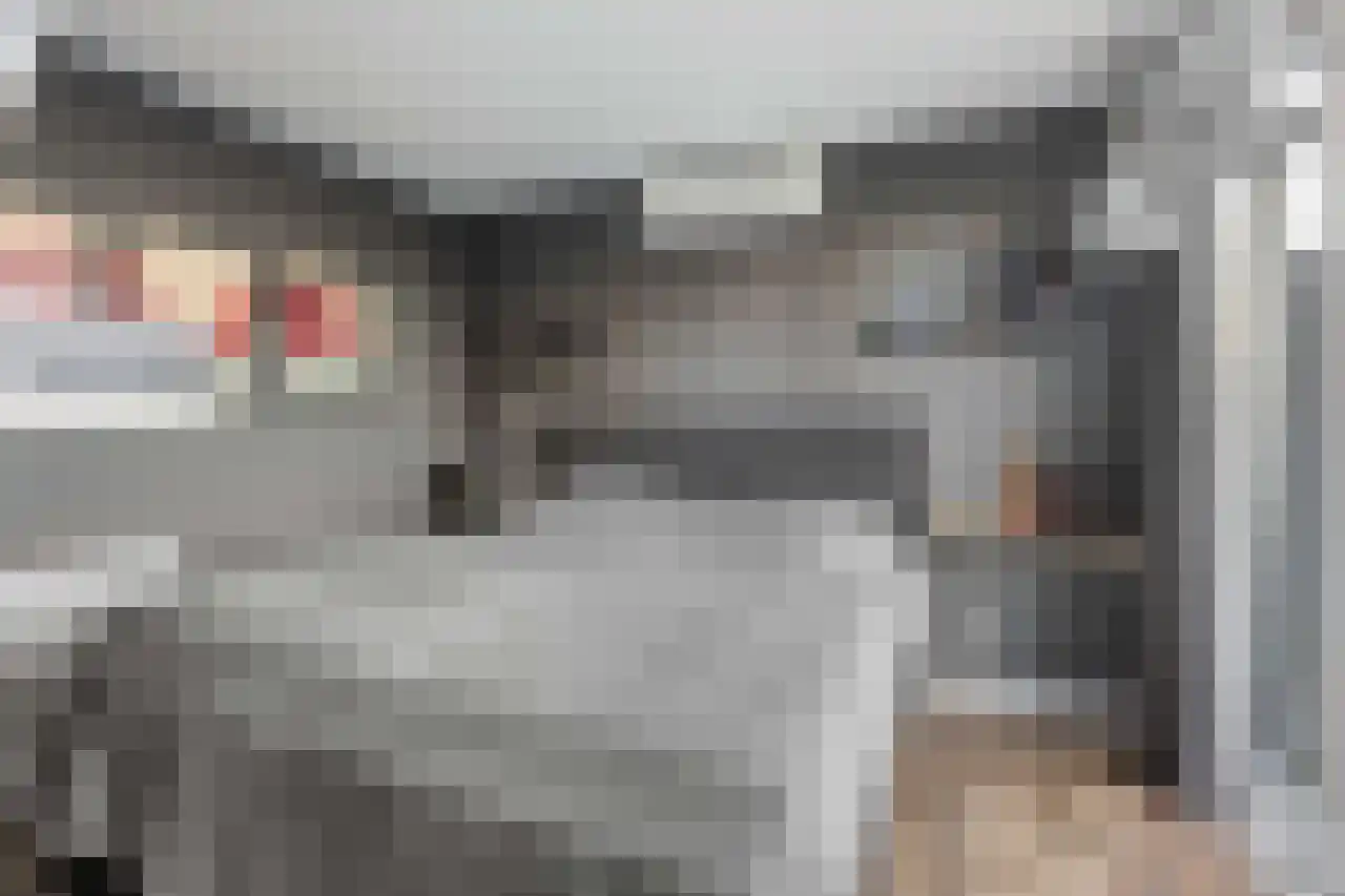Papegroet 6 Zuid-Scharwoude thumbnail 16