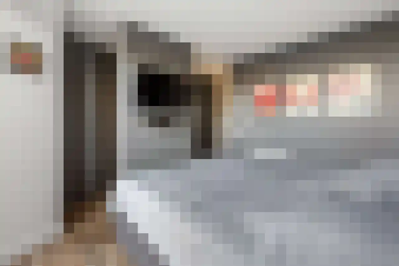 Papegroet 6 Zuid-Scharwoude thumbnail 17