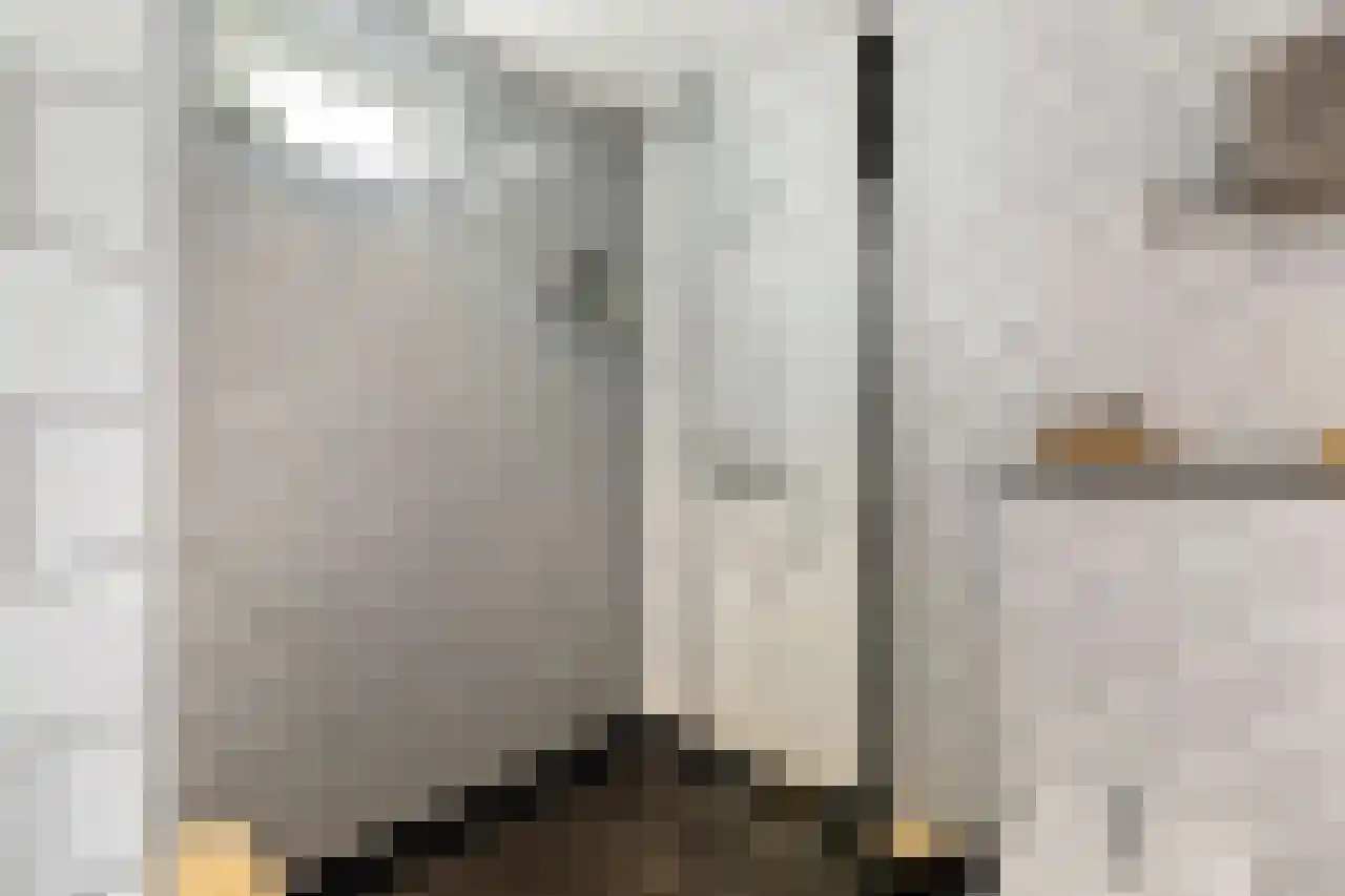Papegroet 6 Zuid-Scharwoude thumbnail 20