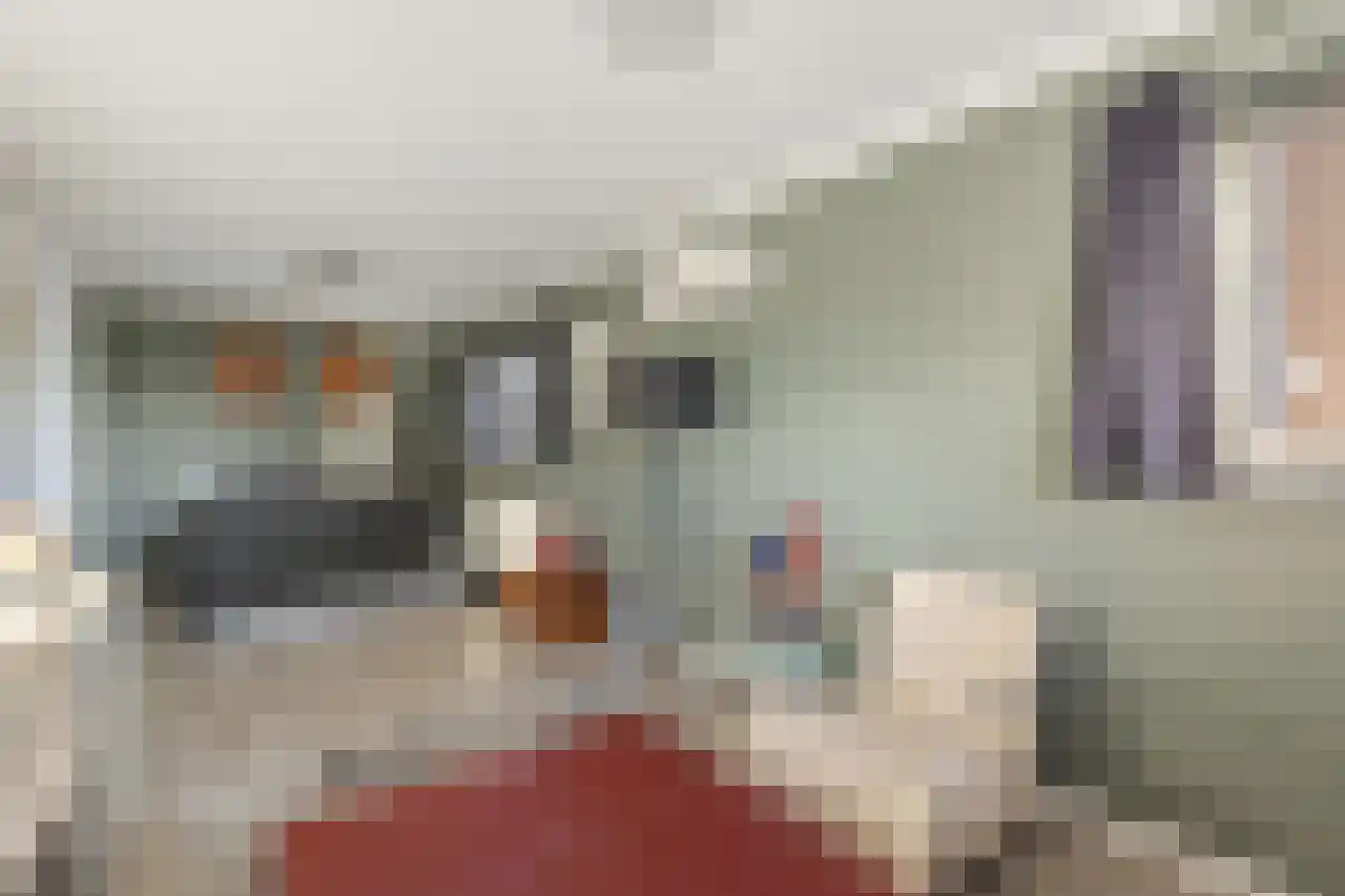Papegroet 6 Zuid-Scharwoude thumbnail 24