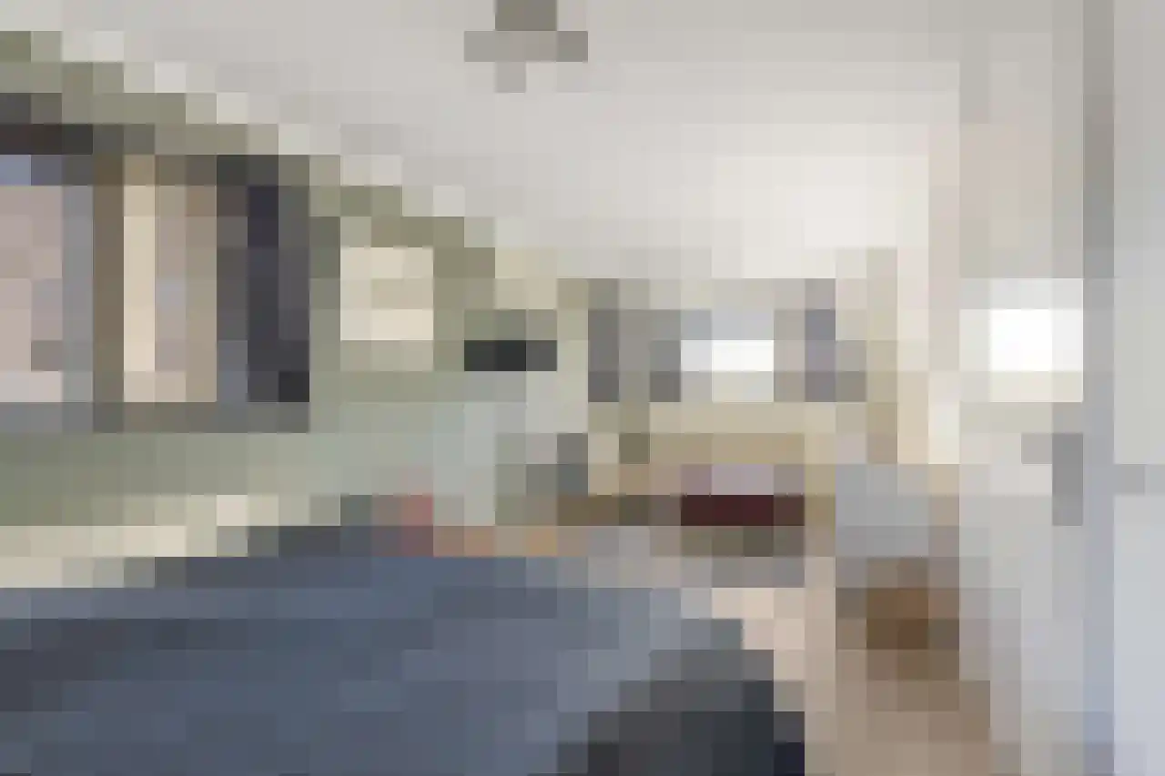 Papegroet 6 Zuid-Scharwoude thumbnail 25