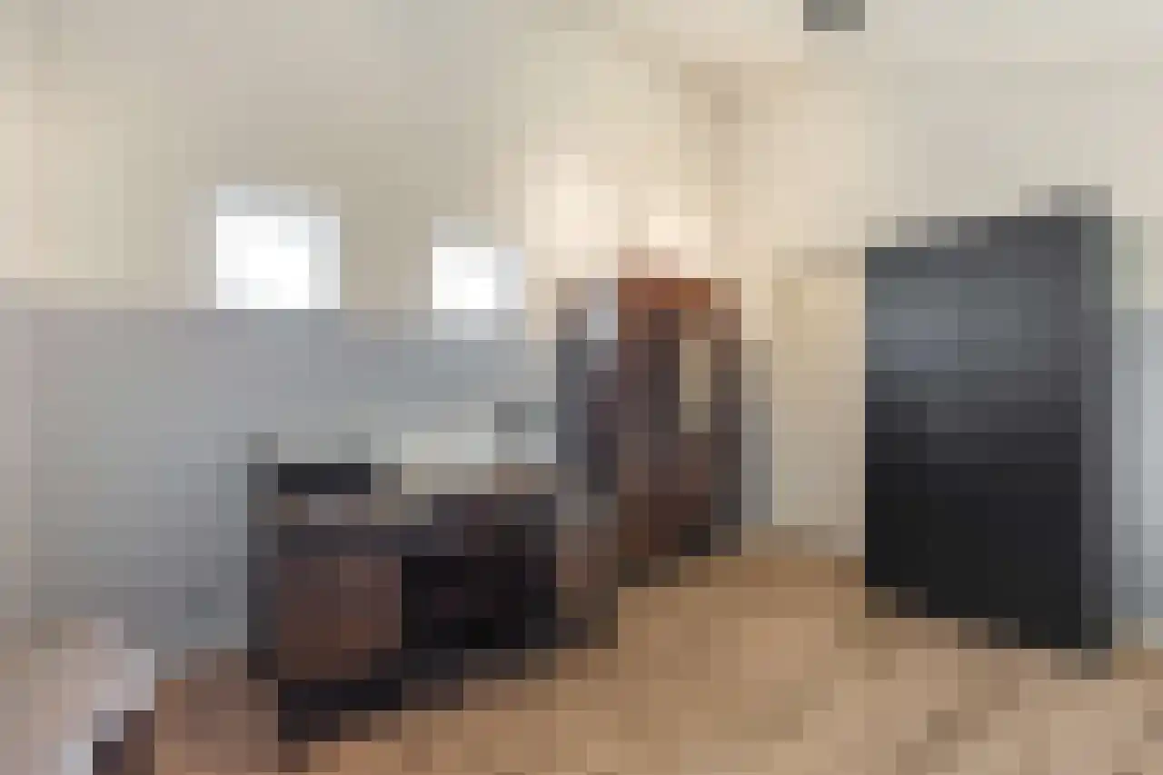 Papegroet 6 Zuid-Scharwoude thumbnail 30