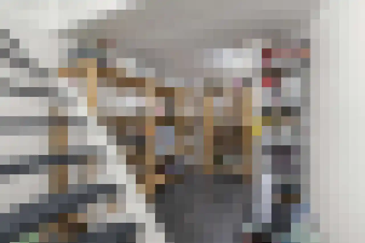 Papegroet 6 Zuid-Scharwoude thumbnail 32