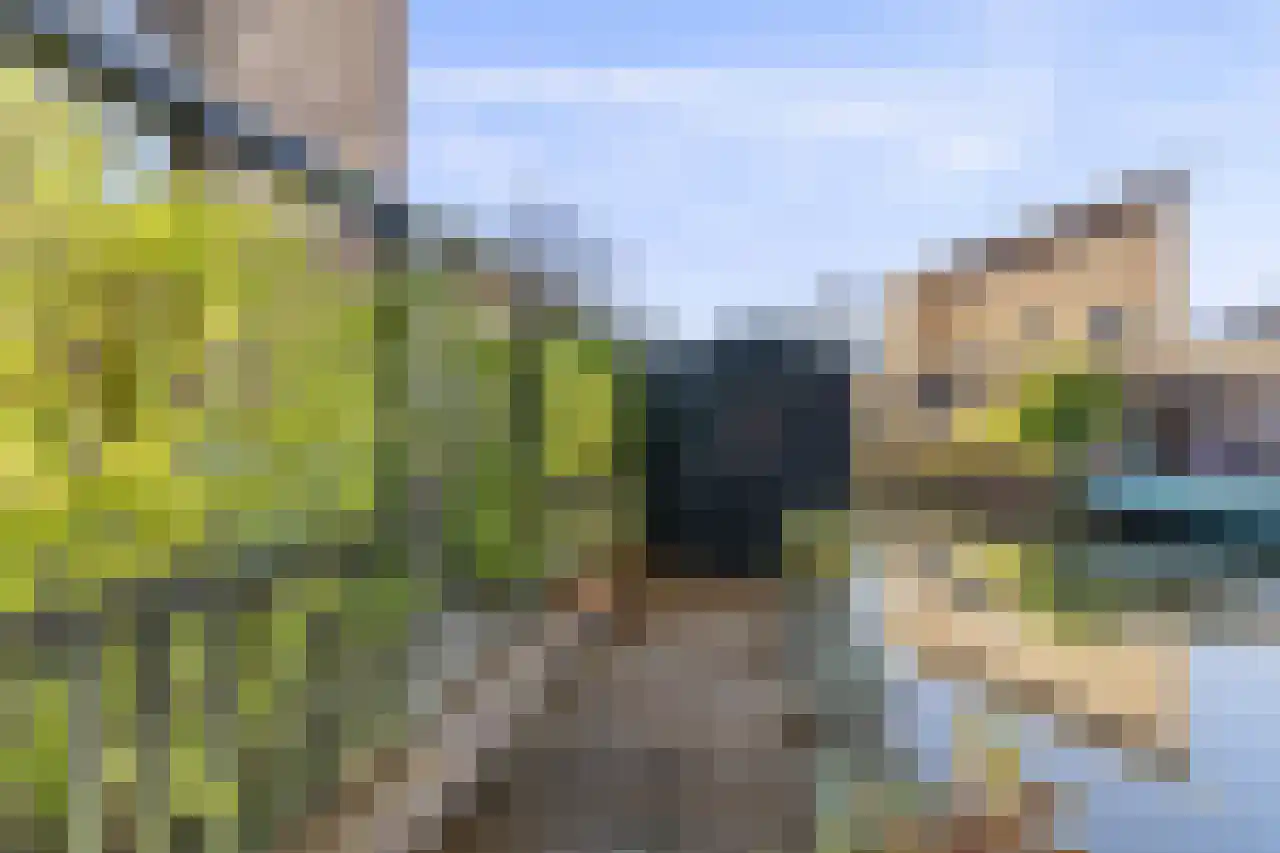 Papegroet 6 Zuid-Scharwoude thumbnail 38