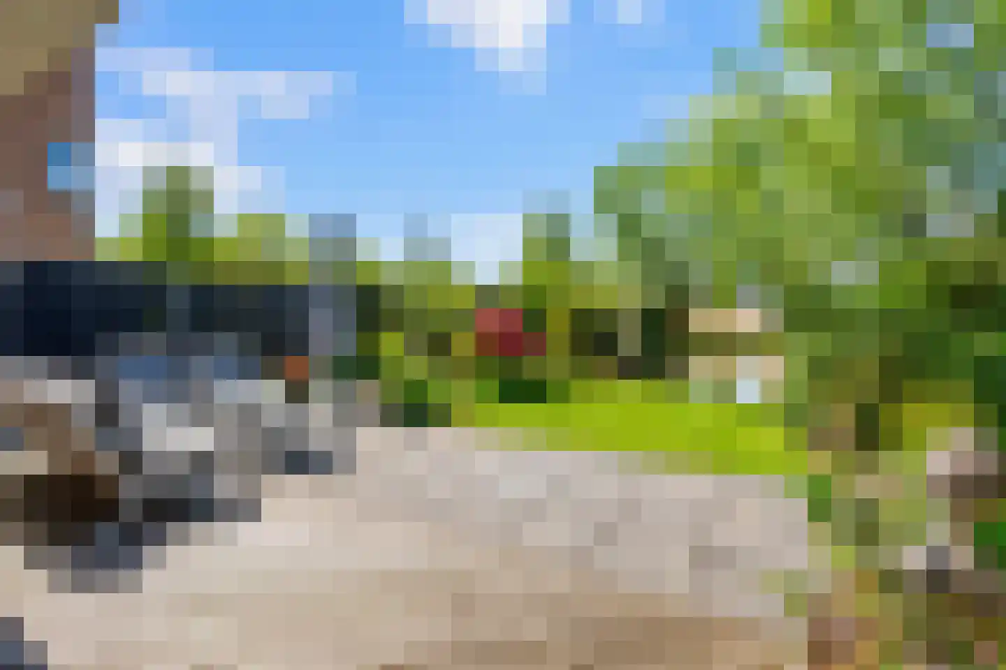 Papegroet 6 Zuid-Scharwoude thumbnail 38