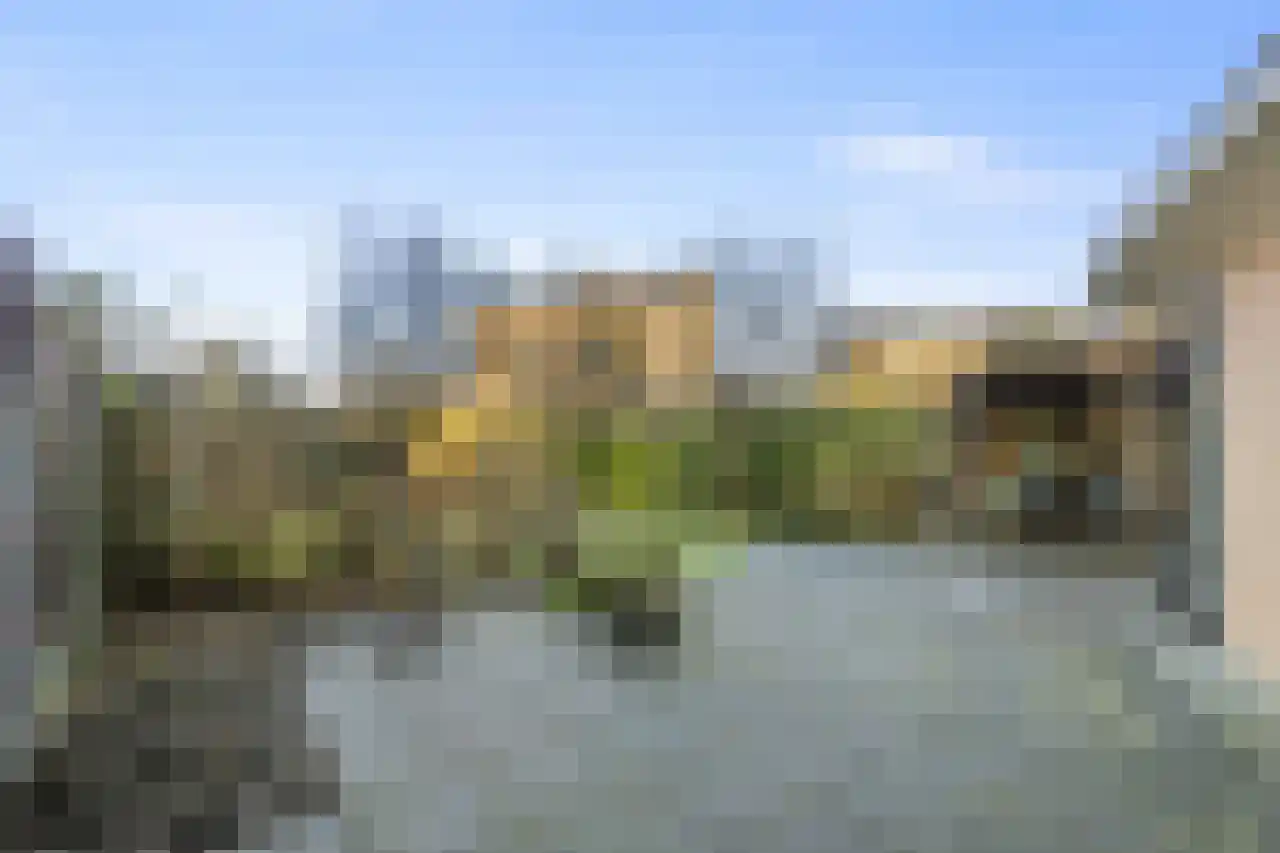 Papegroet 6 Zuid-Scharwoude thumbnail 39