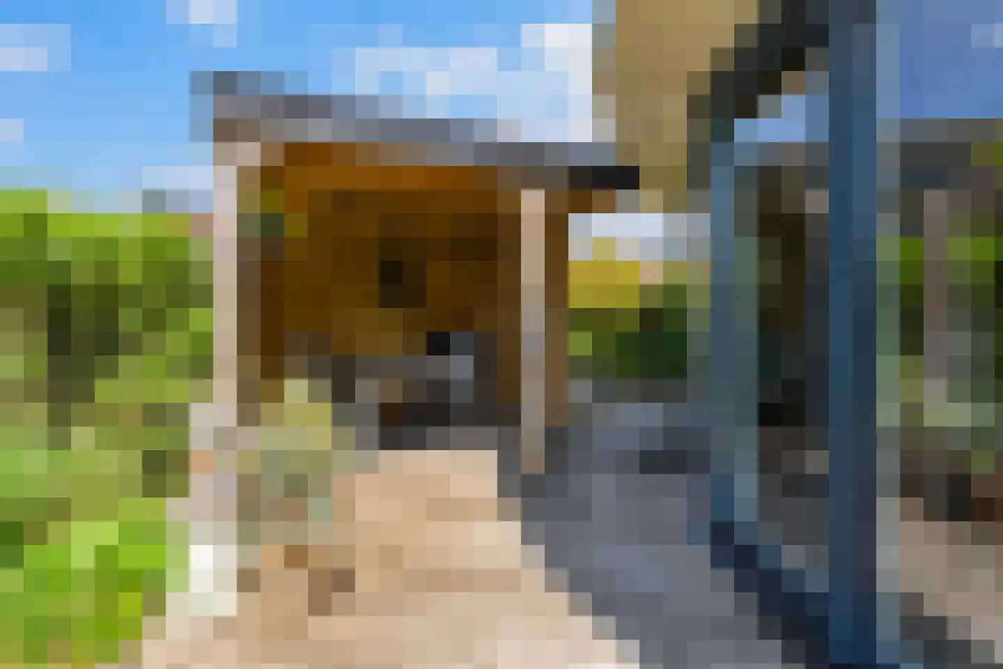 Papegroet 6 Zuid-Scharwoude thumbnail 39