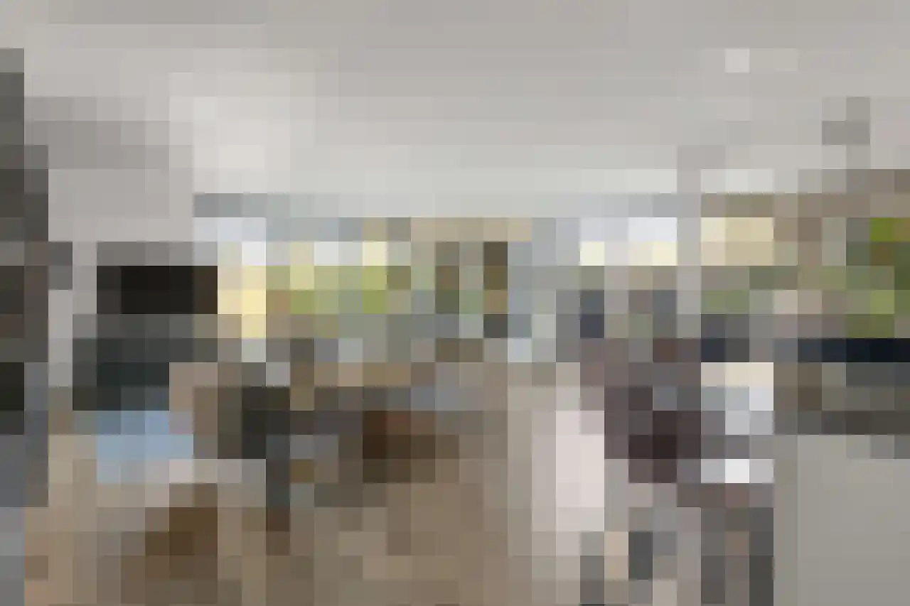 Papegroet 6 Zuid-Scharwoude thumbnail 4