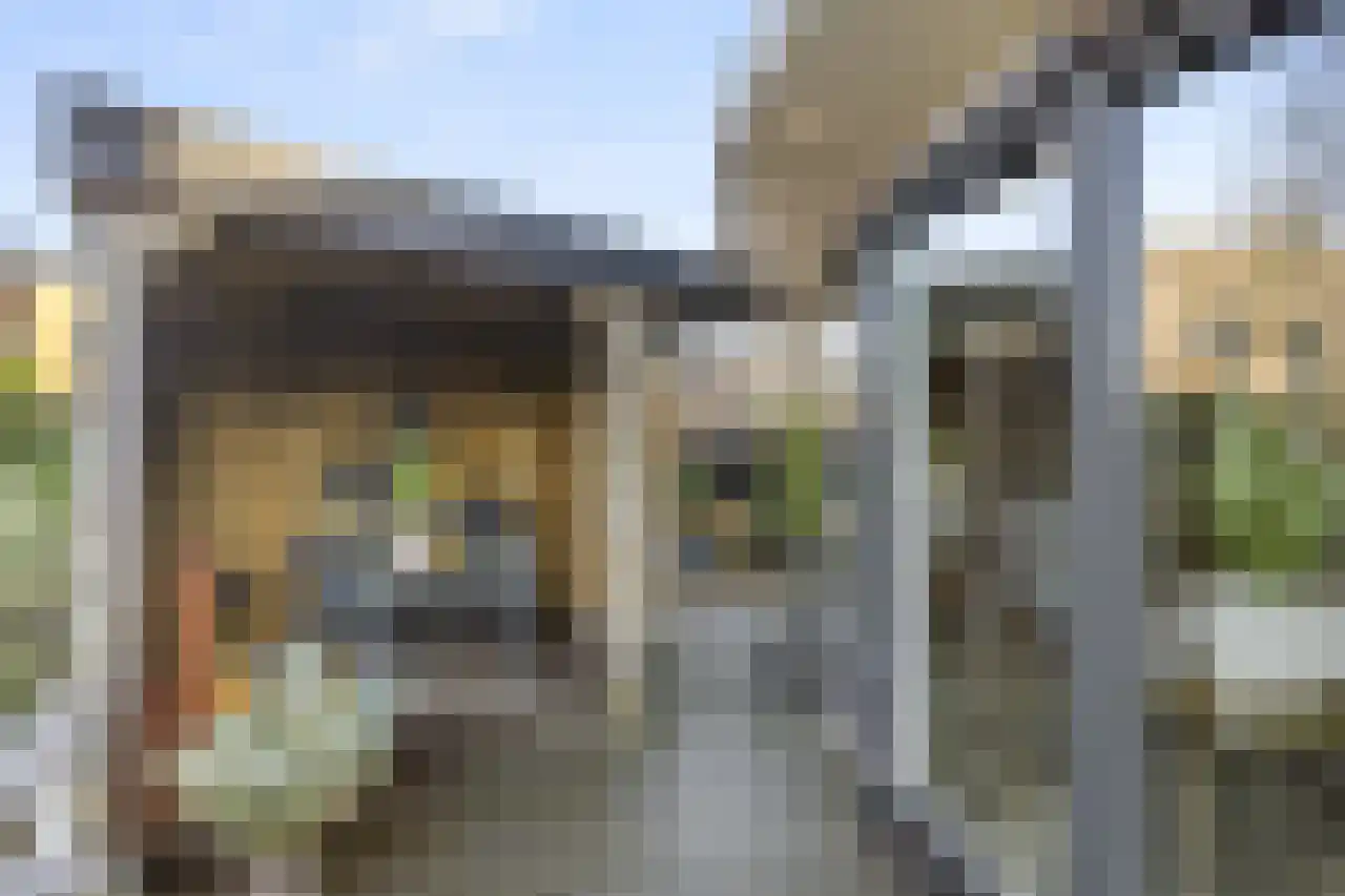 Papegroet 6 Zuid-Scharwoude thumbnail 40