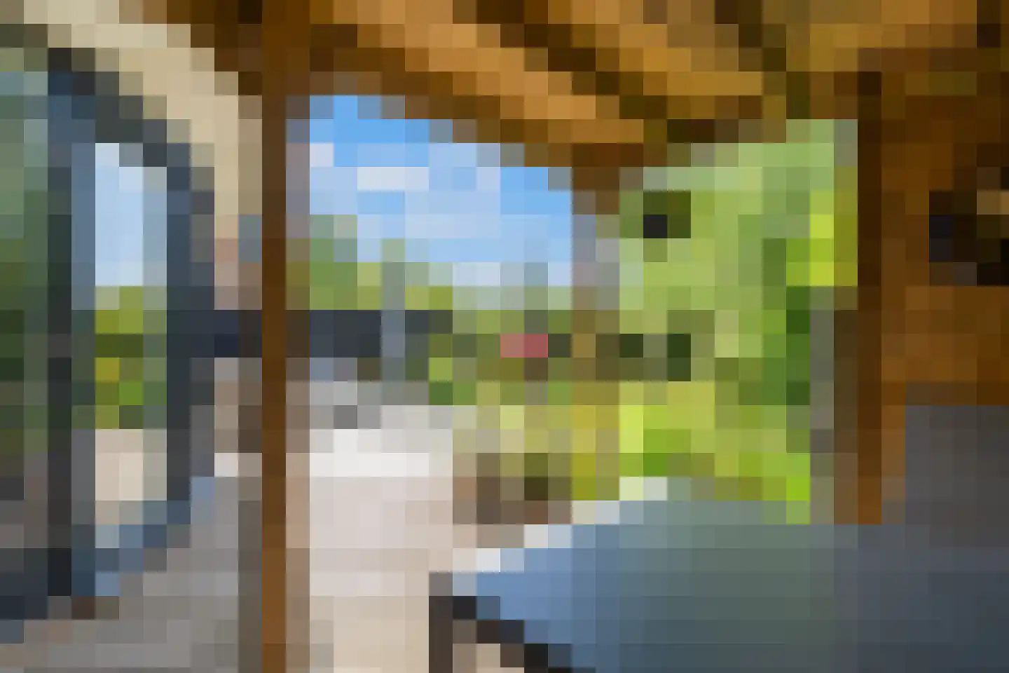Papegroet 6 Zuid-Scharwoude thumbnail 40