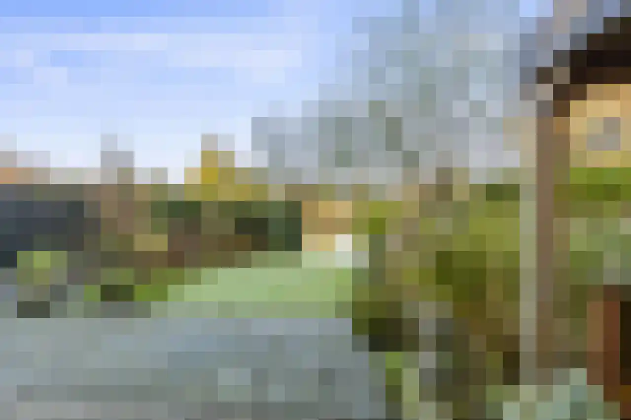 Papegroet 6 Zuid-Scharwoude thumbnail 41