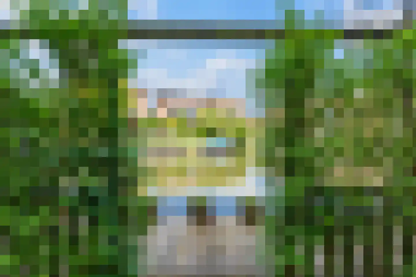 Papegroet 6 Zuid-Scharwoude thumbnail 44