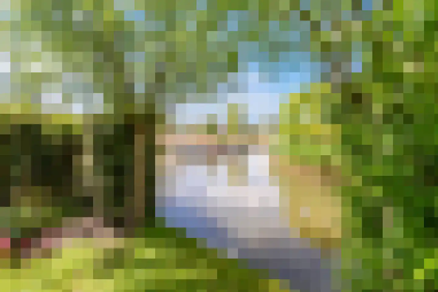 Papegroet 6 Zuid-Scharwoude thumbnail 45