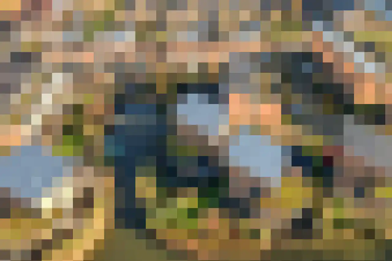 Papegroet 6 Zuid-Scharwoude thumbnail 46