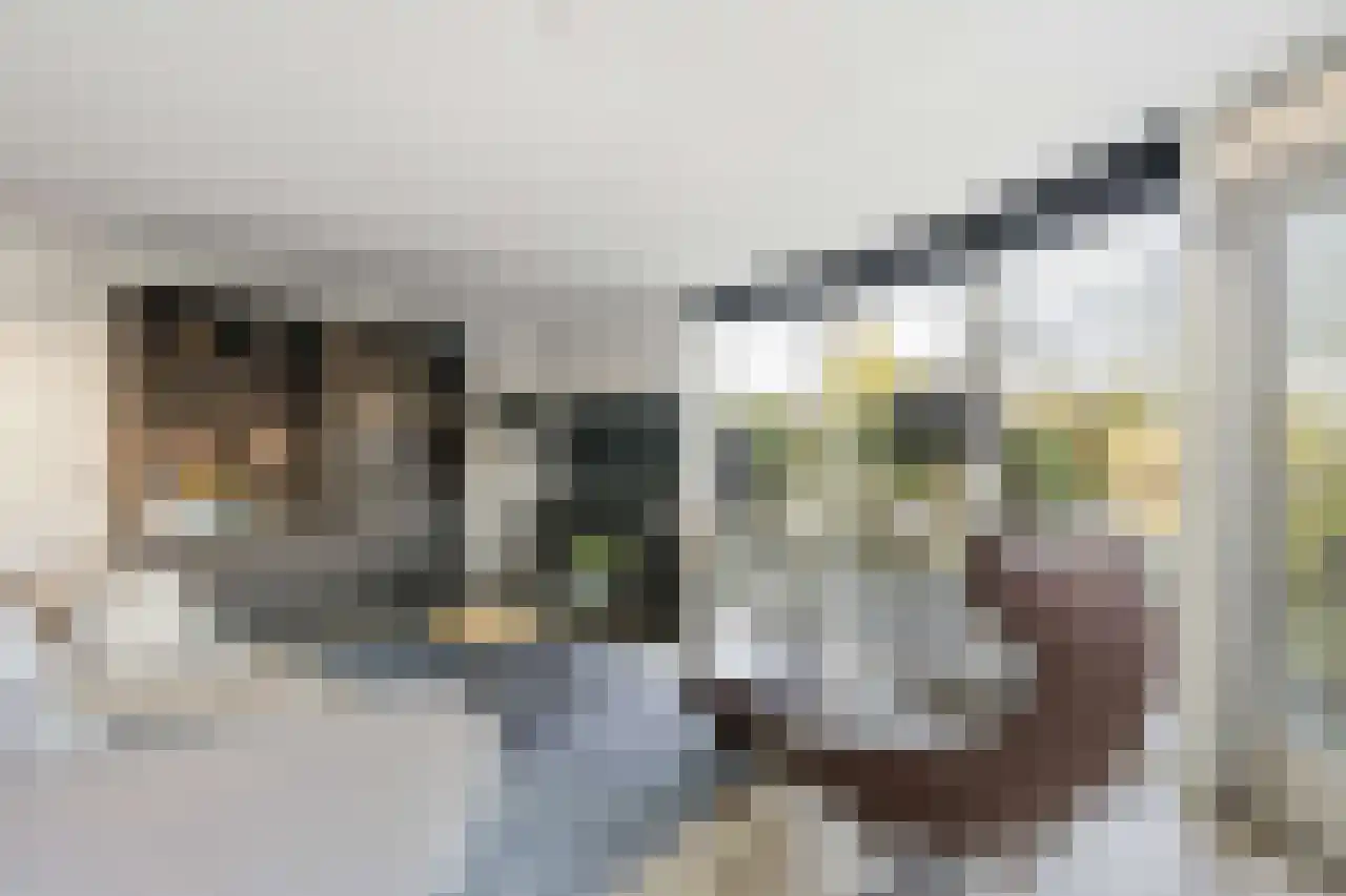 Papegroet 6 Zuid-Scharwoude thumbnail 5