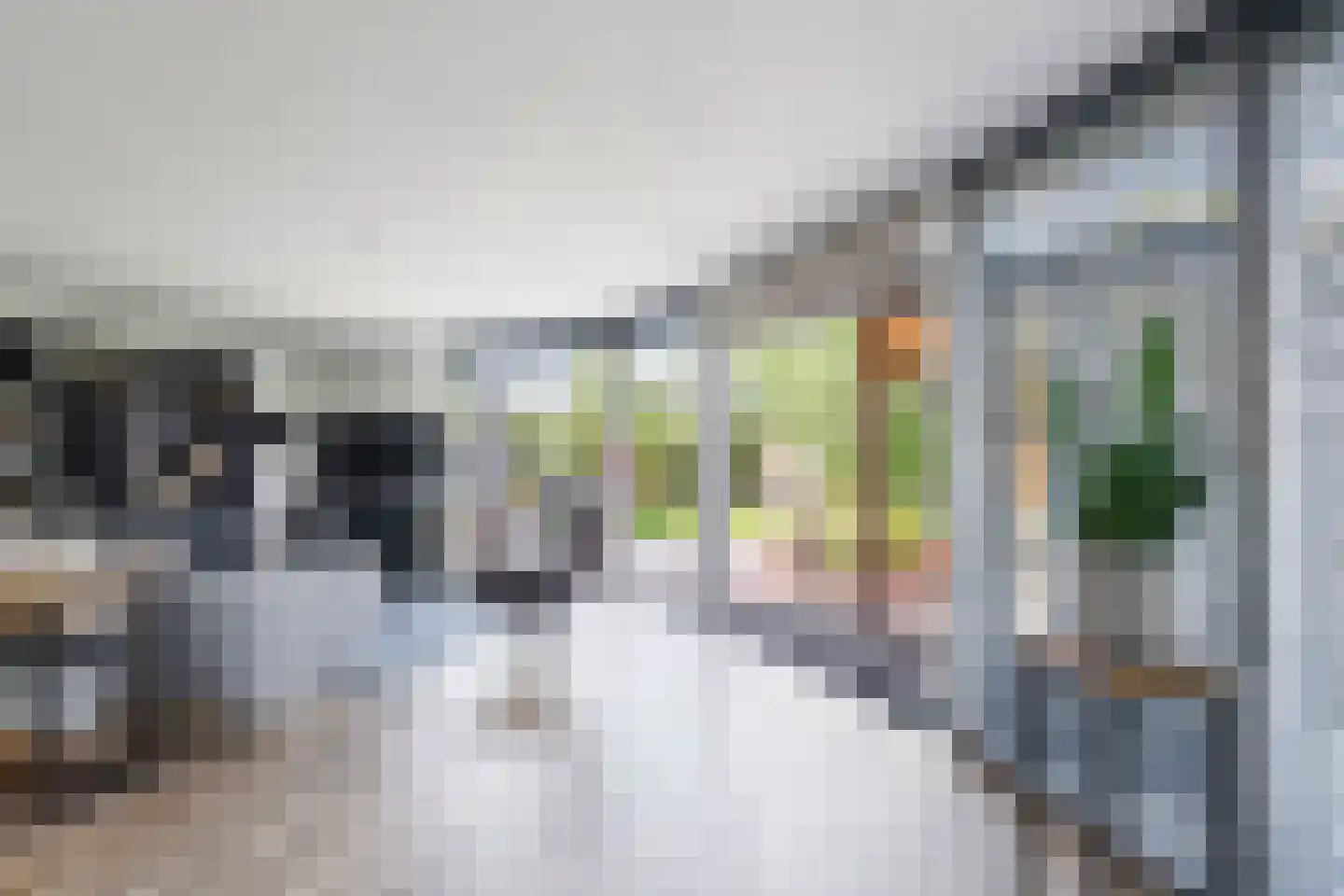 Papegroet 6 Zuid-Scharwoude thumbnail 6