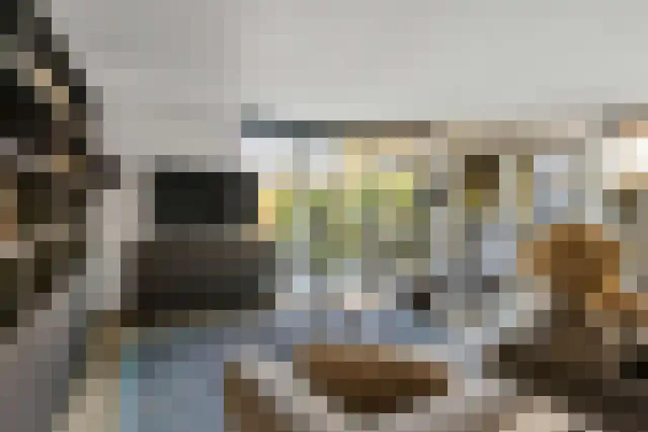Papegroet 6 Zuid-Scharwoude thumbnail 6