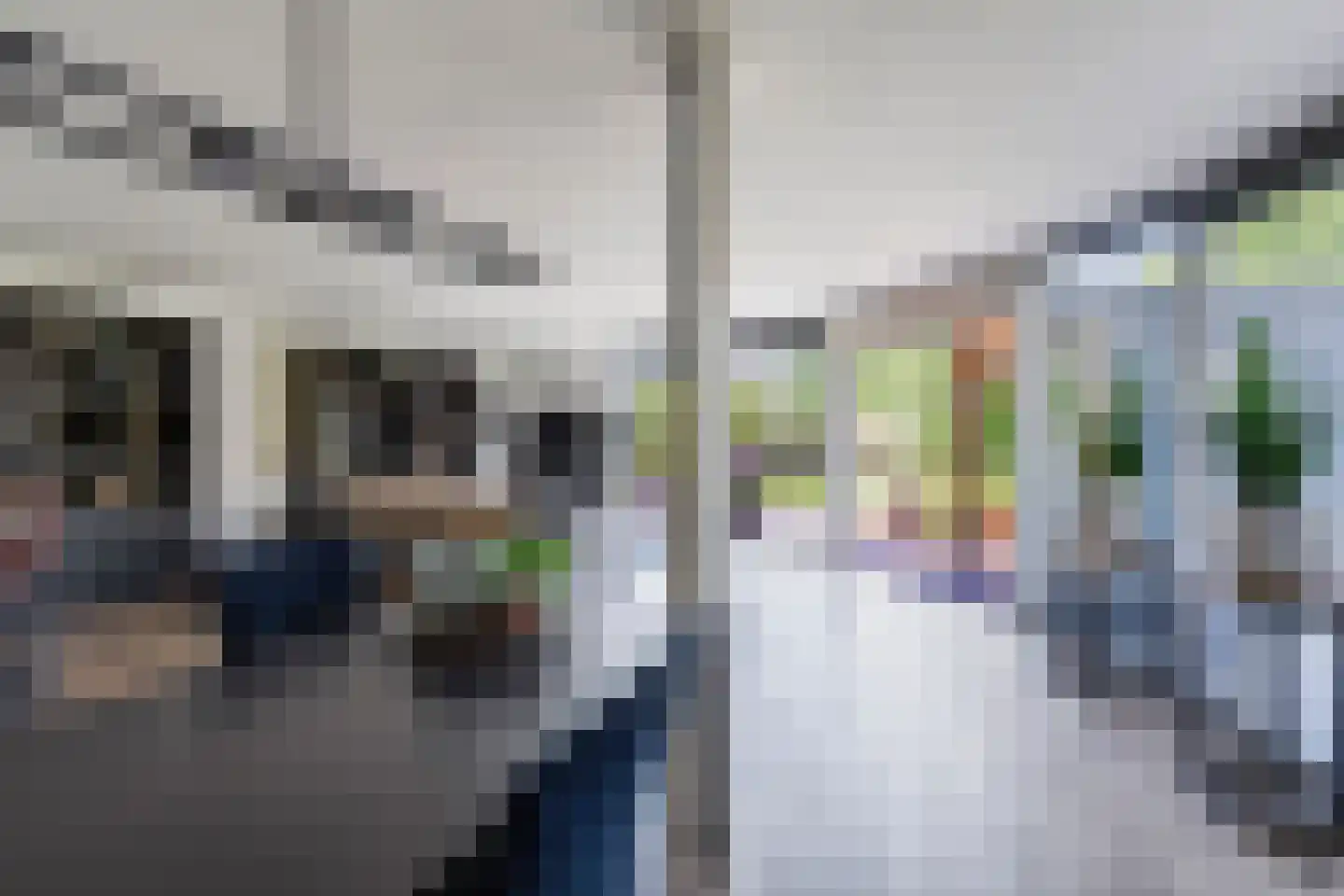Papegroet 6 Zuid-Scharwoude thumbnail 8