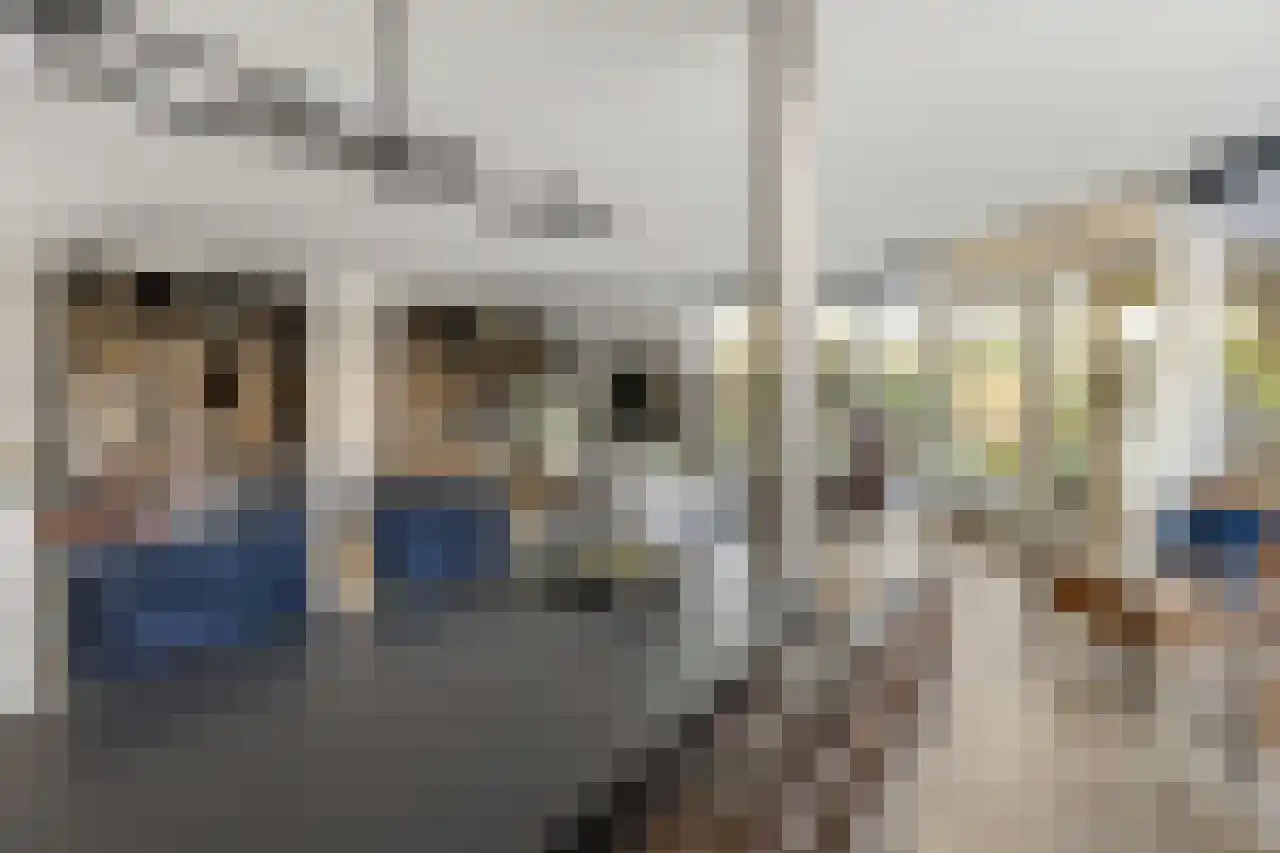 Papegroet 6 Zuid-Scharwoude thumbnail 8