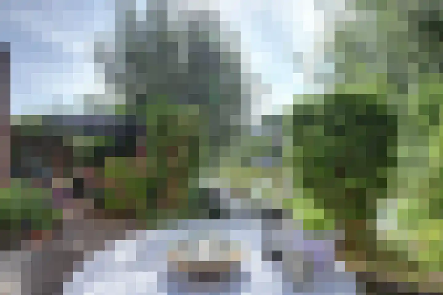 Papegroet 7 Zuid-Scharwoude thumbnail 10