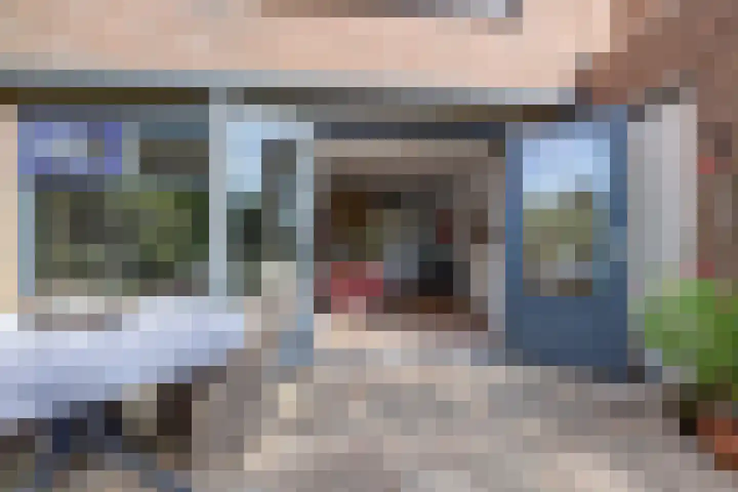 Papegroet 7 Zuid-Scharwoude thumbnail 11