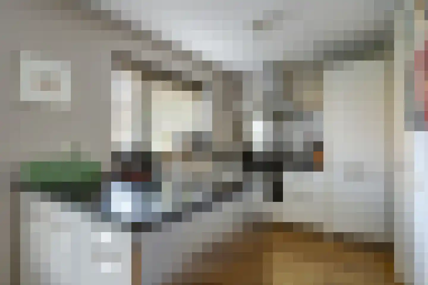 Papegroet 7 Zuid-Scharwoude thumbnail 15