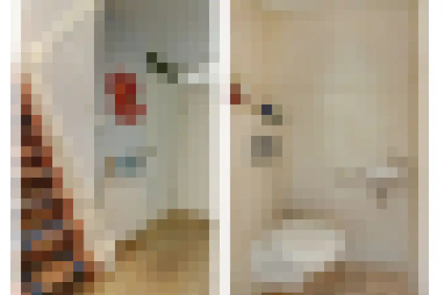 Papegroet 7 Zuid-Scharwoude thumbnail 18