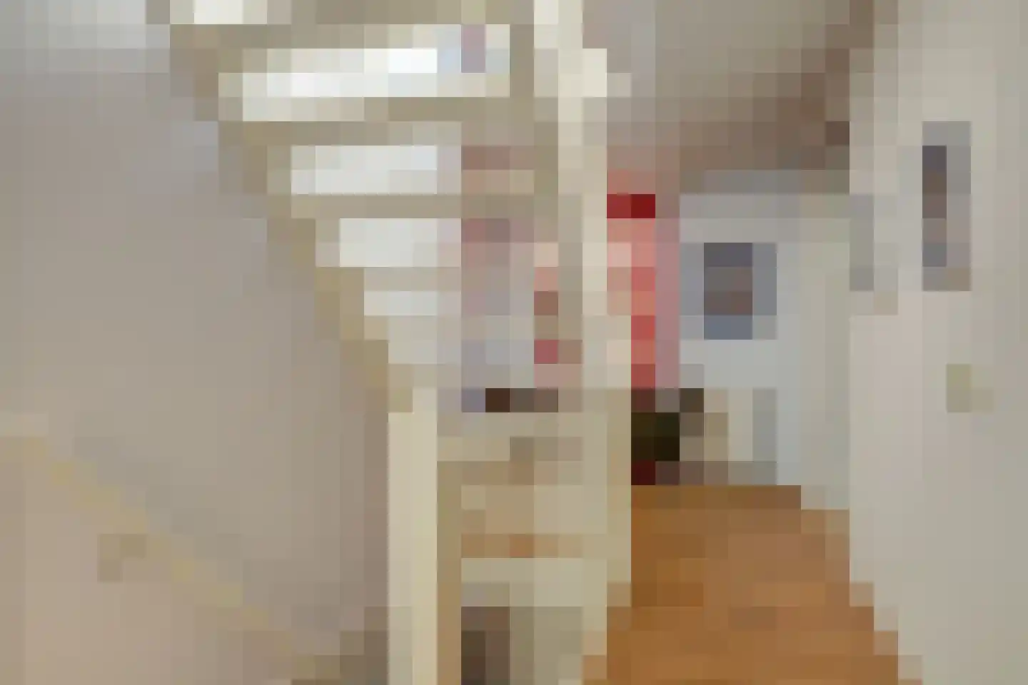 Papegroet 7 Zuid-Scharwoude thumbnail 19