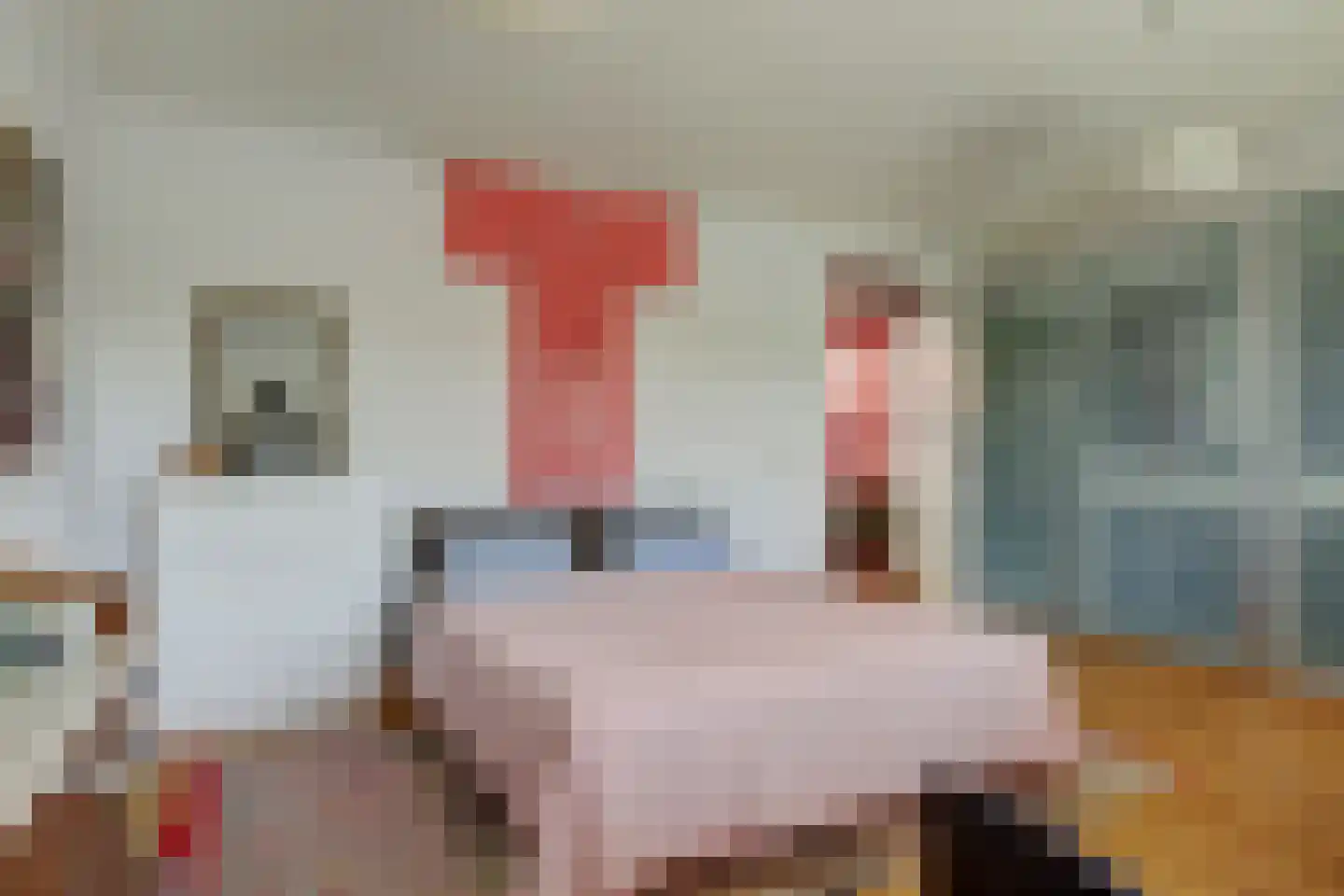 Papegroet 7 Zuid-Scharwoude thumbnail 22