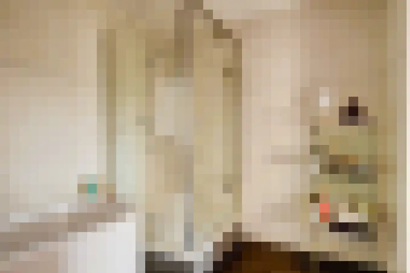 Papegroet 7 Zuid-Scharwoude thumbnail 25