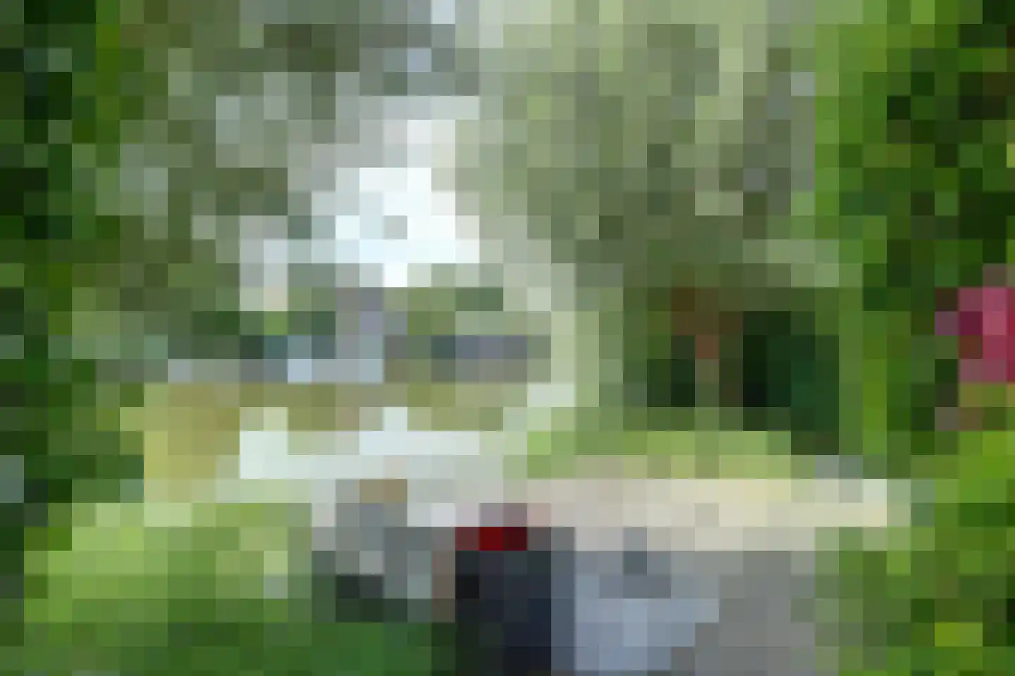 Papegroet 7 Zuid-Scharwoude thumbnail 34