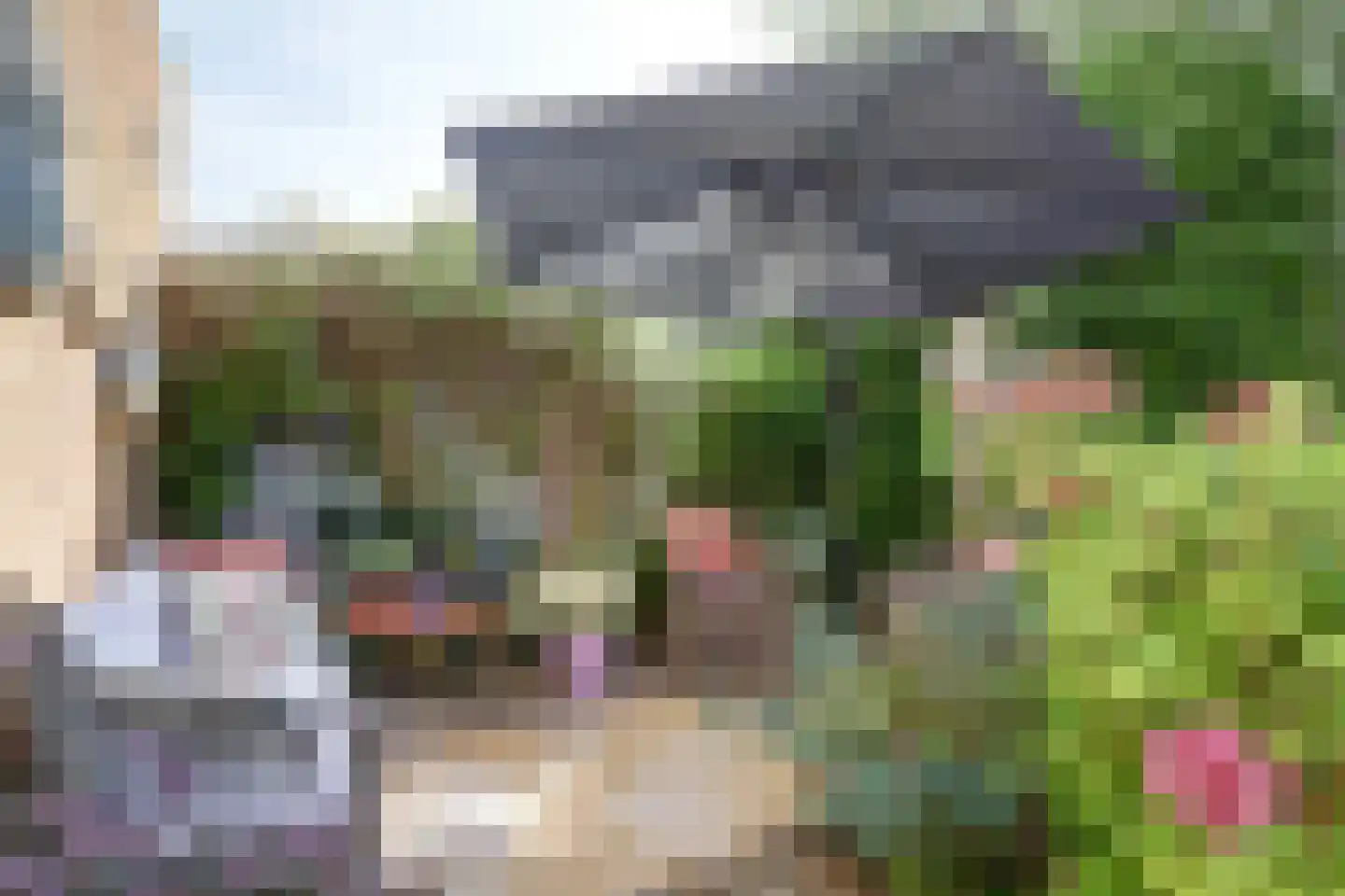 Papegroet 7 Zuid-Scharwoude thumbnail 36