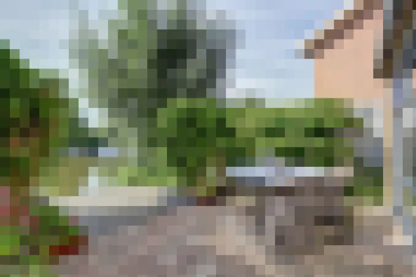 Papegroet 7 Zuid-Scharwoude thumbnail 37