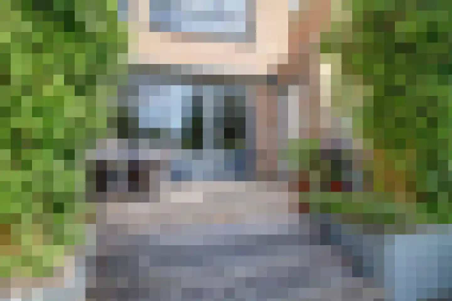 Papegroet 7 Zuid-Scharwoude thumbnail 39