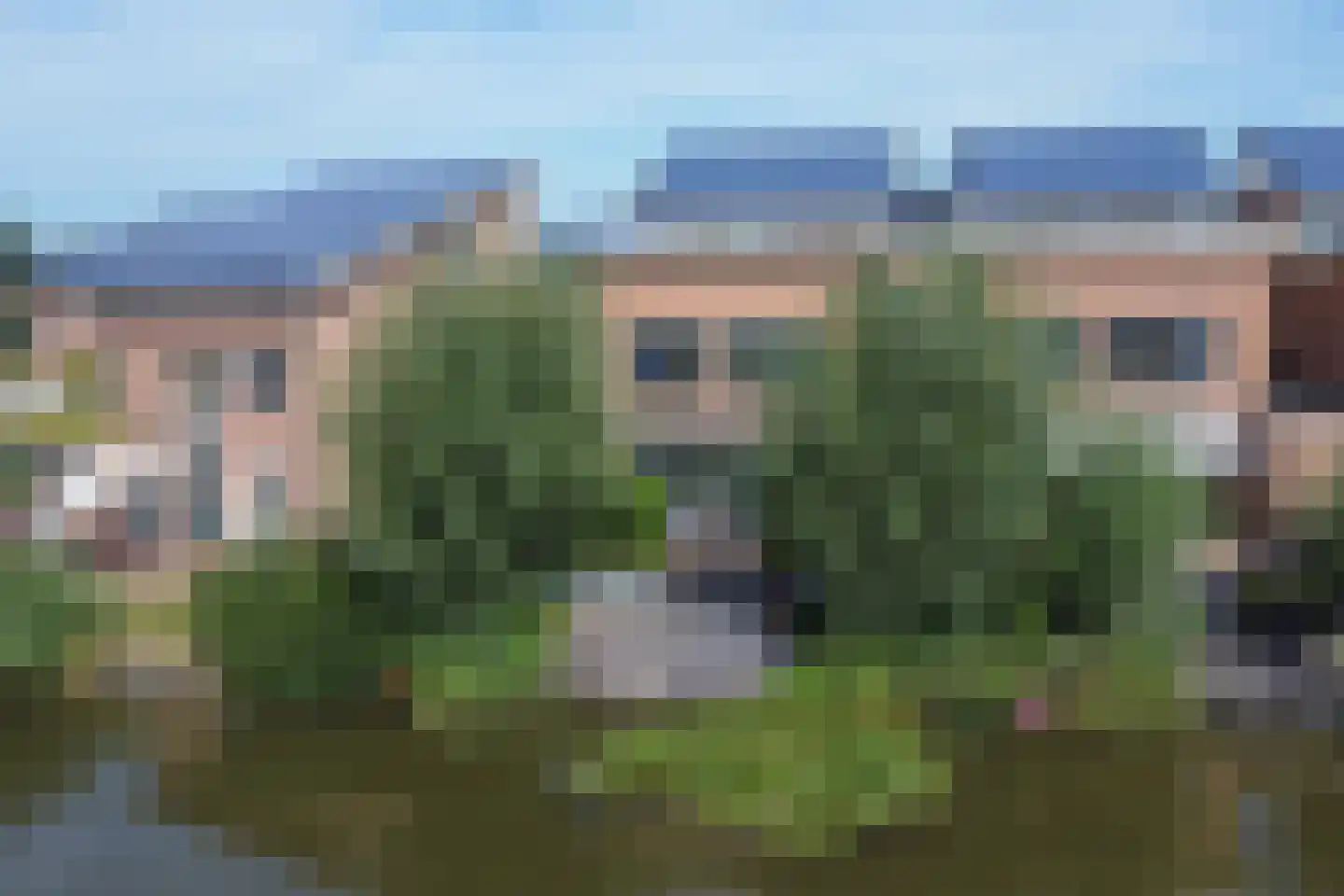 Papegroet 7 Zuid-Scharwoude thumbnail 41