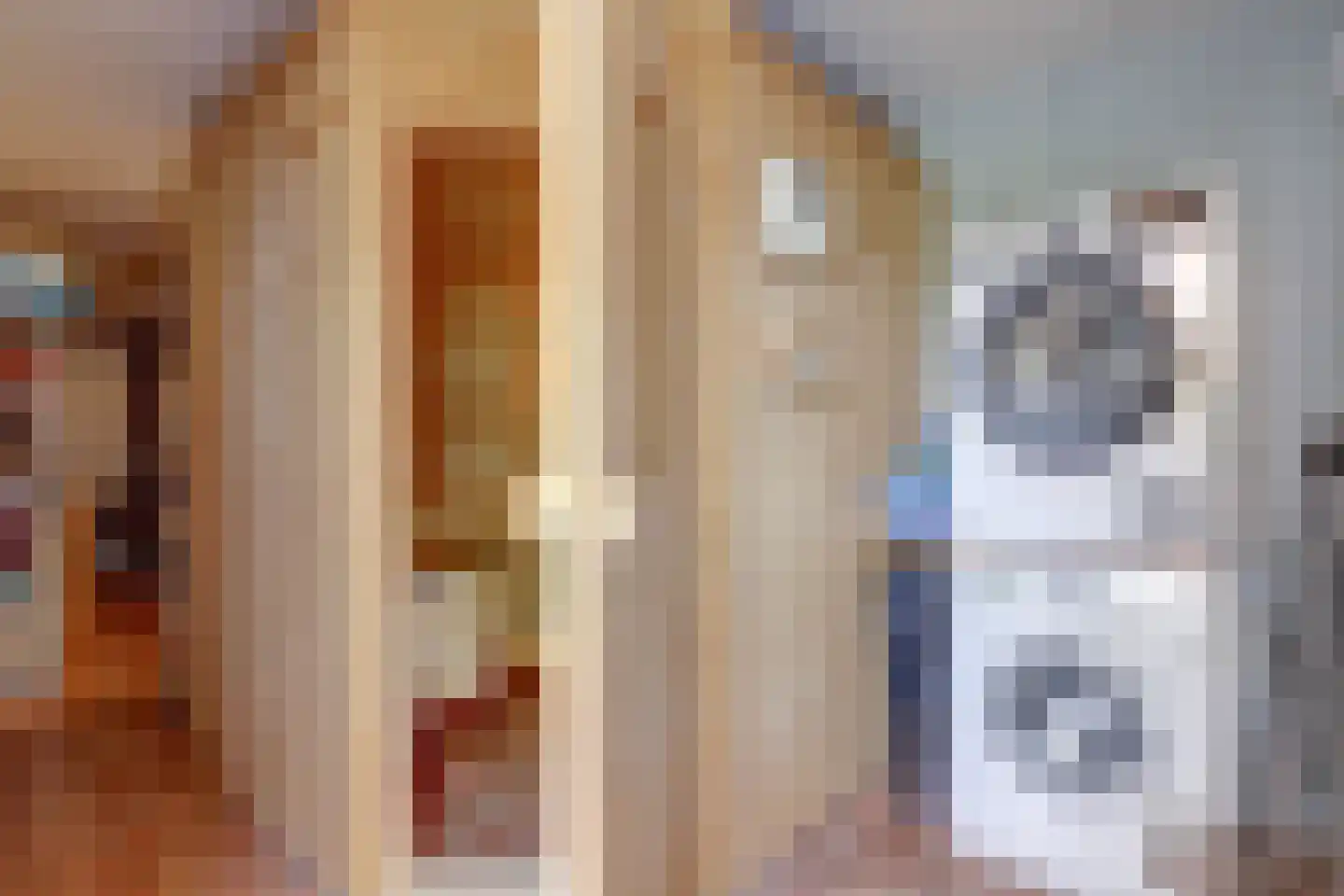 Papegroet 7 Zuid-Scharwoude thumbnail 43