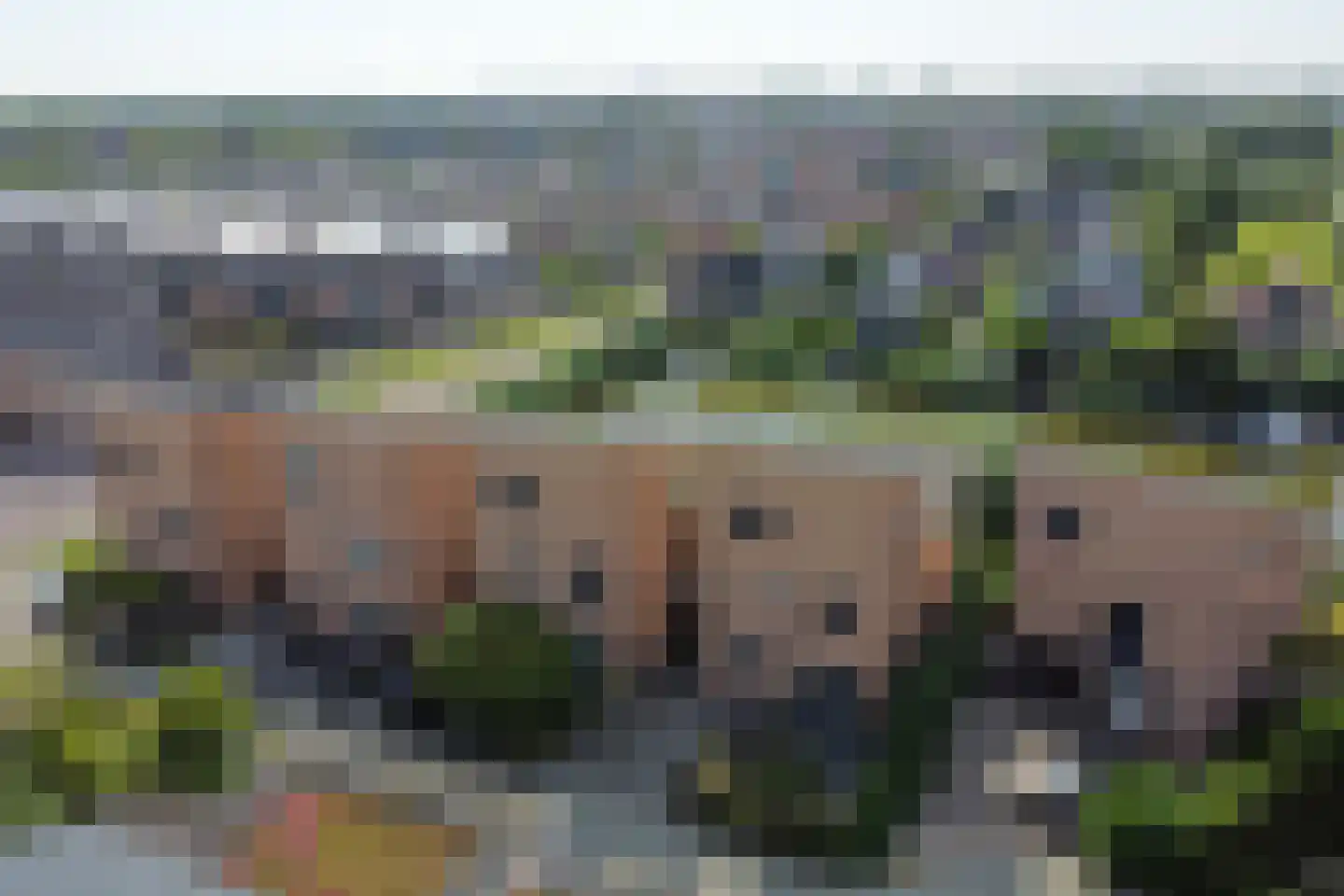 Papegroet 7 Zuid-Scharwoude thumbnail 46