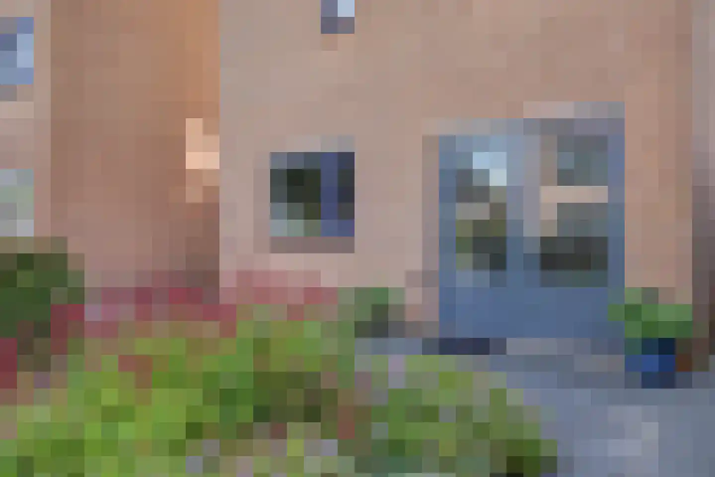 Papegroet 7 Zuid-Scharwoude thumbnail 5