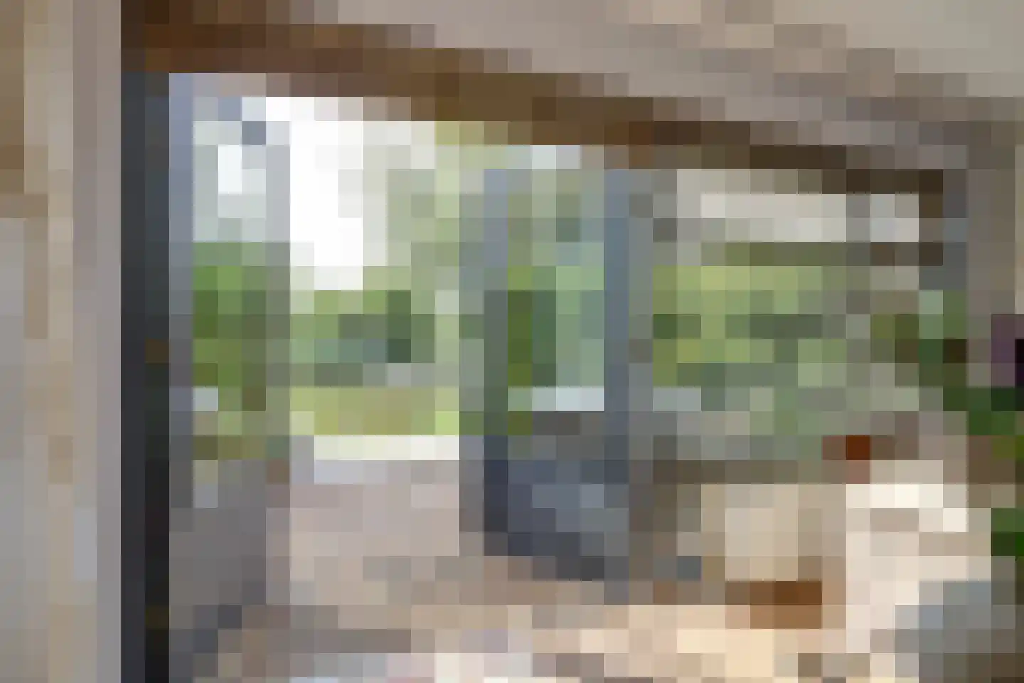 Papegroet 7 Zuid-Scharwoude thumbnail 9