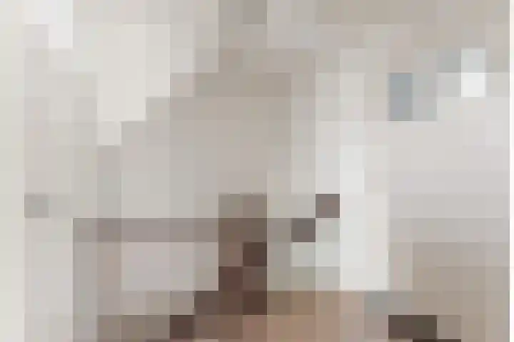 Papehof 10 Abcoude thumbnail 23