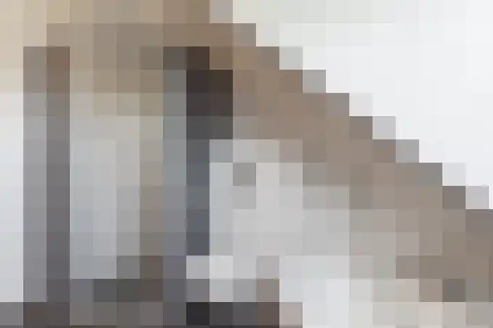 Papehof 10 Abcoude thumbnail 26