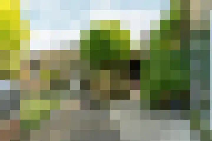 Papehof 10 Abcoude thumbnail 31