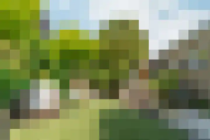 Papehof 10 Abcoude thumbnail 32