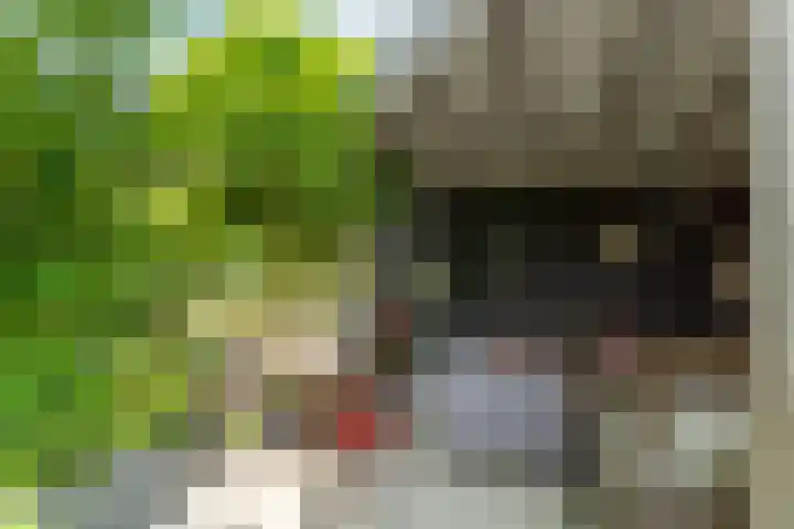 Papehof 10 Abcoude thumbnail 33