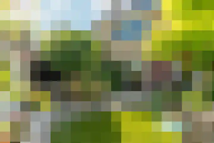 Papehof 10 Abcoude thumbnail 4