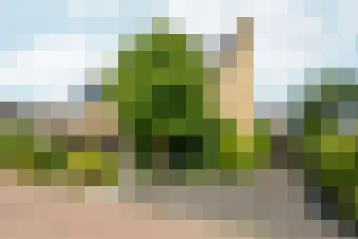Papehof 10 Abcoude thumbnail 6