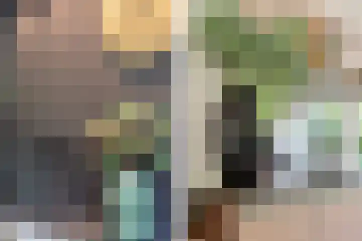 Papehof 10 Abcoude thumbnail 9